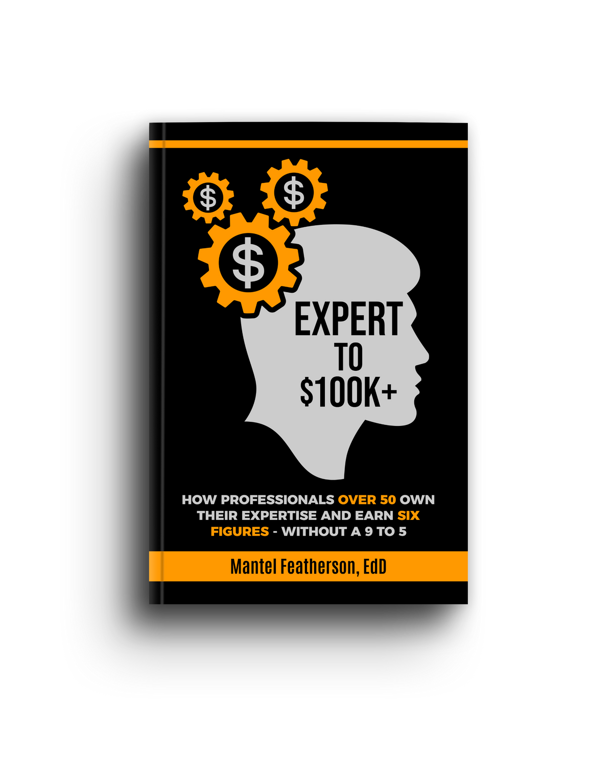 Expert to $100k+ Book